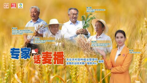 360截图20251022124124323