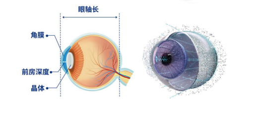 mmexportb374f7fe7030bfda442323c4b99d016f_1761583163533