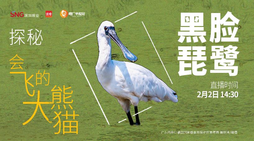 360截图20260124202900097